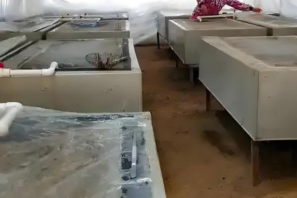 水蛭养殖要办什么证，要办理动物防疫条件合格证