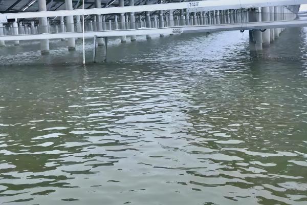 水蛭养殖要办什么证，要办理动物防疫条件合格证