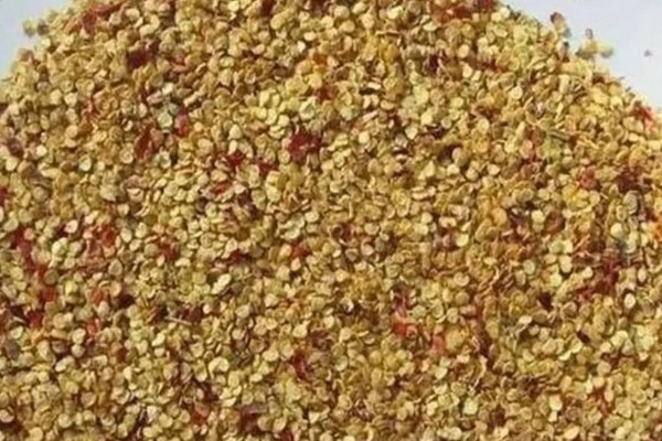 辣椒立枯病怎么防治，苗期喷施芸苔素内酯乳油可增强抗病能力