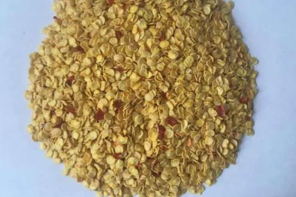 辣椒立枯病怎么防治，苗期喷施芸苔素内酯乳油可增强抗病能力