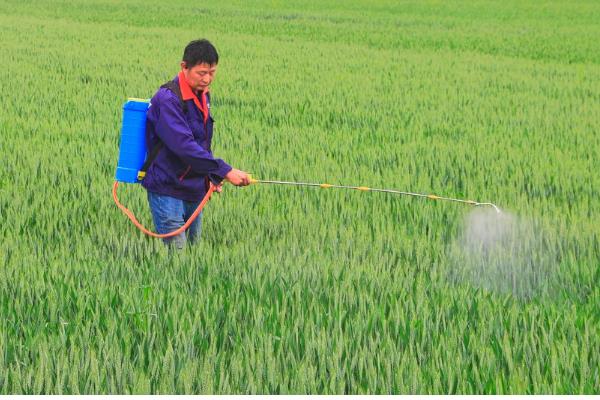 氯溴异氰尿酸的复配注意事项，不可与有机磷农药混用