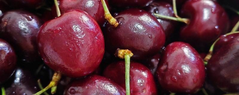 车厘子的等级划分，分为J、JJ、JJJ、JJJJ等多个等级