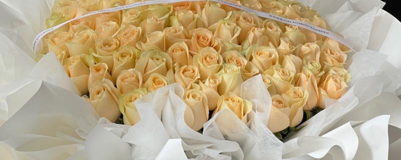 香槟玫瑰的含义，代表纯洁自然、友情友谊等意思