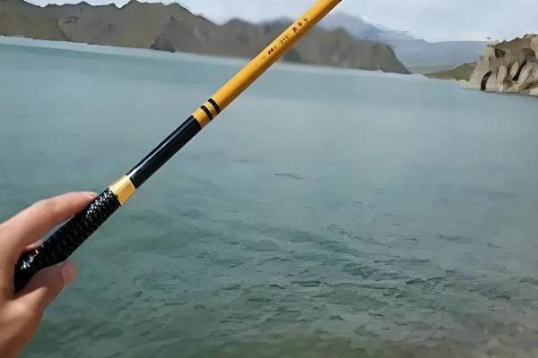 天元鱼竿的简介，凭独到的设计和质量被消费者青睐