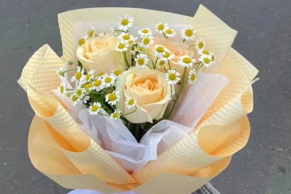 香槟玫瑰的含义，代表纯洁自然、友情友谊等意思