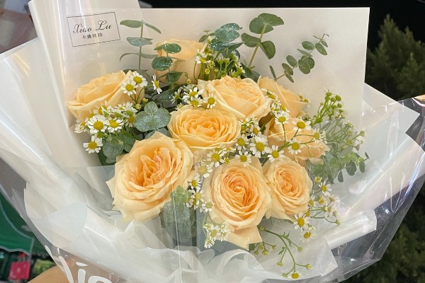 香槟玫瑰的含义，代表纯洁自然、友情友谊等意思