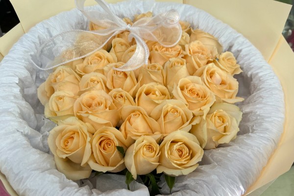 香槟玫瑰的含义，代表纯洁自然、友情友谊等意思