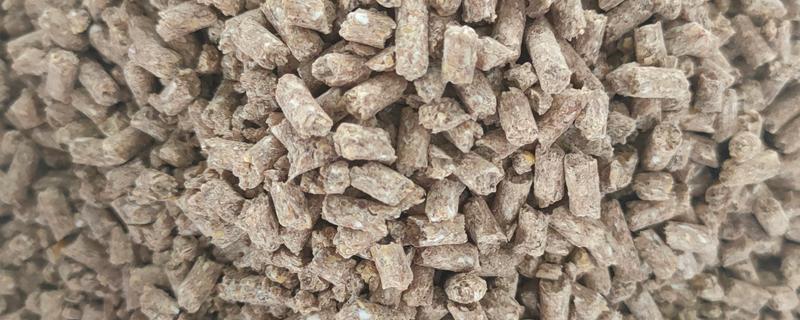 中猪的饲料配方，有贝壳粉、食盐等