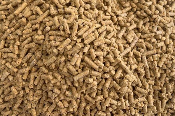 中猪的饲料配方，有贝壳粉、食盐等