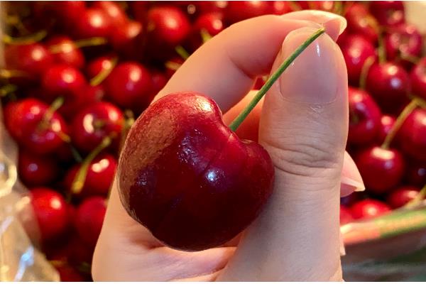 车厘子的等级划分，分为J、JJ、JJJ、JJJJ等多个等级