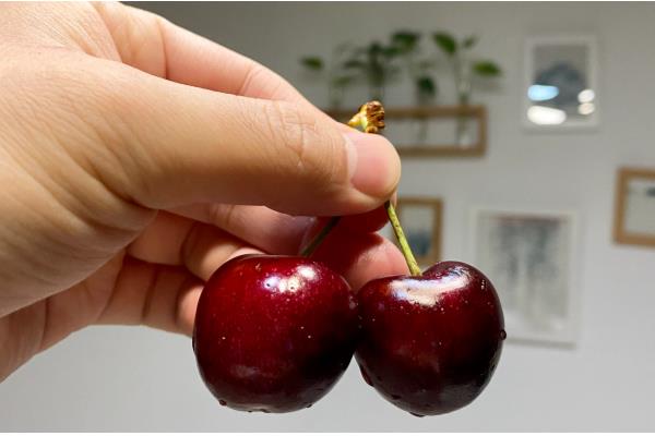 车厘子的等级划分，分为J、JJ、JJJ、JJJJ等多个等级