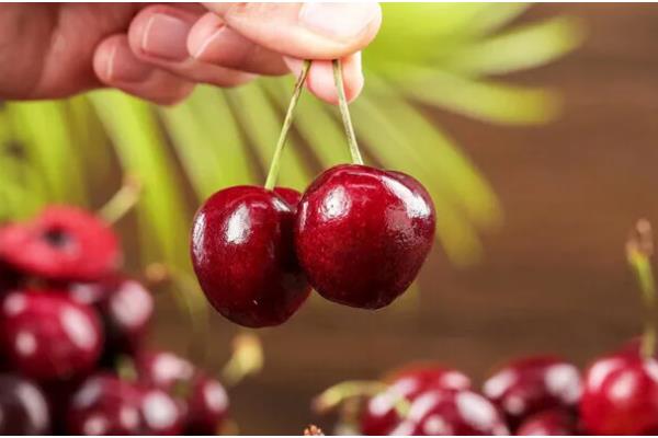 车厘子的等级划分，分为J、JJ、JJJ、JJJJ等多个等级