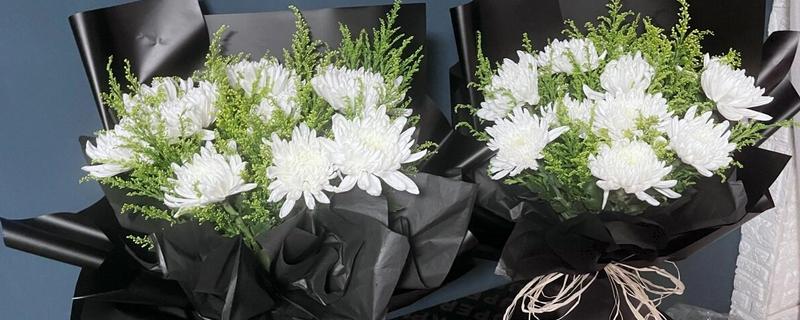 白菊花的寓意，寓意高尚纯洁、思念哀悼等