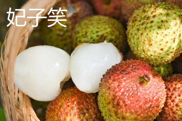 糯米糍与妃子笑的区别，其形状和颜色均不同