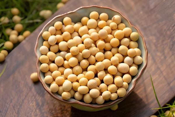 鹰嘴豆是不是黄豆的一种，鹰嘴豆不属于黄豆