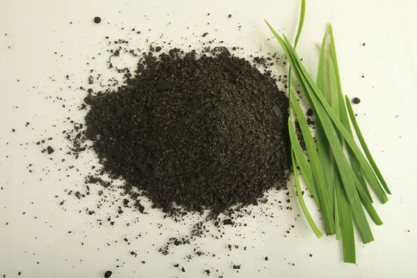 提高韭菜种子发芽率的方法，浸种消毒是有效措施