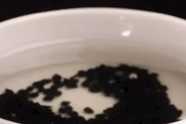 提高韭菜种子发芽率的方法，浸种消毒是有效措施