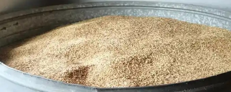 储藏种子要注意什么，不要让粮种受潮