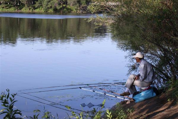怎么钓鲫鱼，首选钓点是水草区