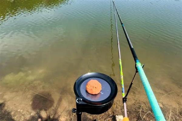 怎么钓鲫鱼，首选钓点是水草区