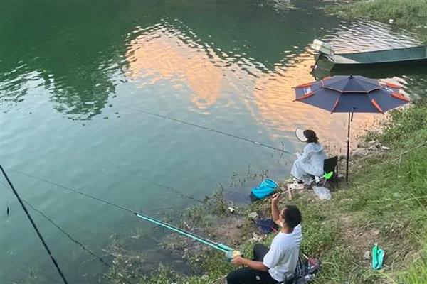 怎么钓鲫鱼，首选钓点是水草区