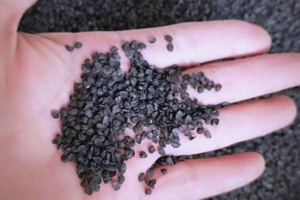 储藏种子要注意什么，不要让粮种受潮