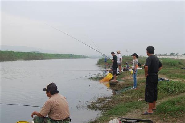 怎么钓鲫鱼，首选钓点是水草区