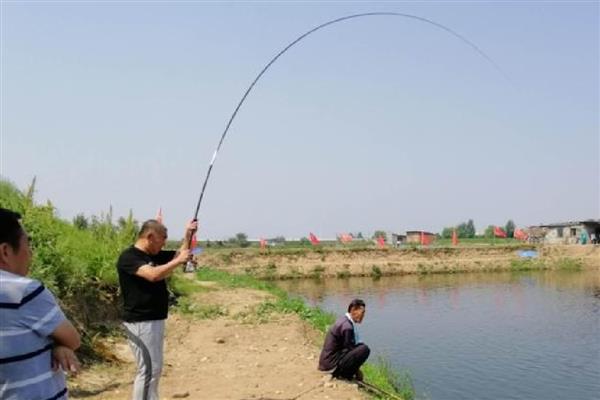 怎么钓鲫鱼，首选钓点是水草区