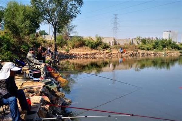 怎么钓鲫鱼，首选钓点是水草区