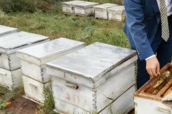 蜂箱要盖覆布的原因，可以起到保温、放热等效果