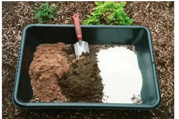 养米兰花要注意什么，平时要把温度保持在20-25℃