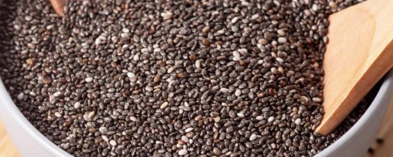 奇亚籽是不是猕猴桃籽，二者不是同一种种子