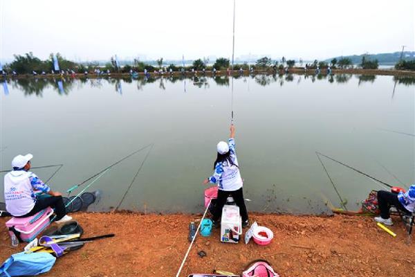搓饵钓鱼过多长时间才提竿，鱼儿进窝后每隔3-5分钟提一次