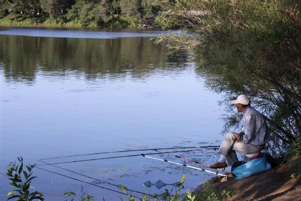 搓饵钓鱼过多长时间才提竿，鱼儿进窝后每隔3-5分钟提一次