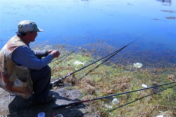 搓饵钓鱼过多长时间才提竿，鱼儿进窝后每隔3-5分钟提一次