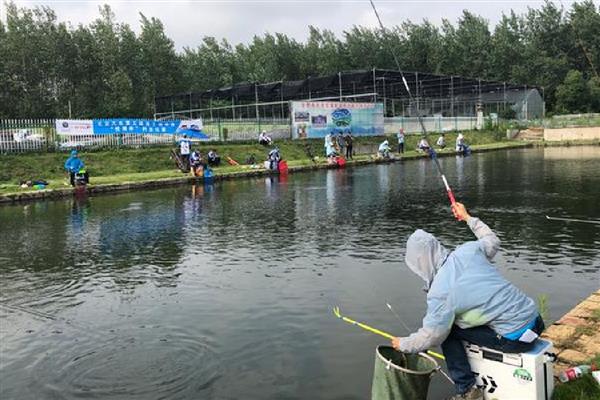 搓饵钓鱼过多长时间才提竿，鱼儿进窝后每隔3-5分钟提一次