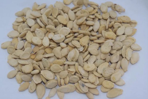 黑皮冬瓜怎么施肥，长出3-4片真叶时追施清粪水