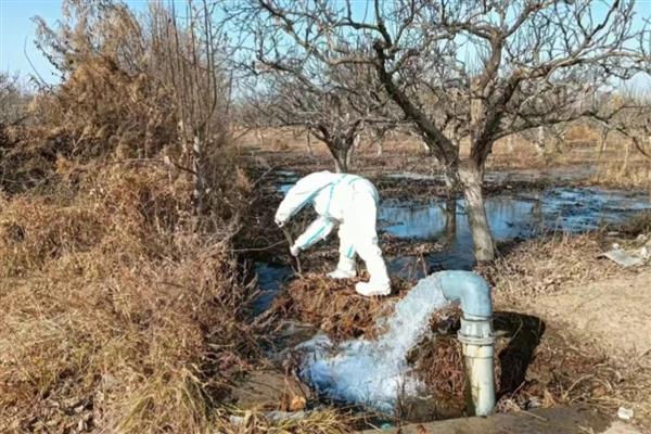 冬季果树冻害如何预防,可将树干涂白