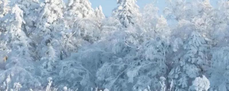 什么是大寒，就是天气最冷的节气