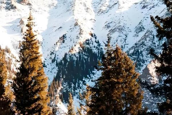 什么是大寒，就是天气最冷的节气