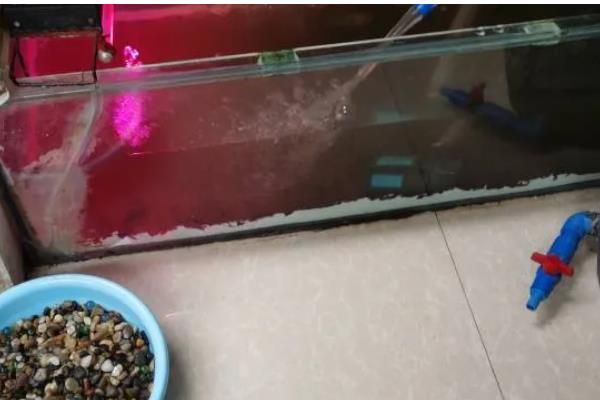 底滤鱼缸的进水口和出水口在哪里，一般位于鱼缸的两侧