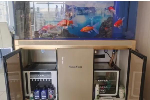 底滤鱼缸的进水口和出水口在哪里，一般位于鱼缸的两侧