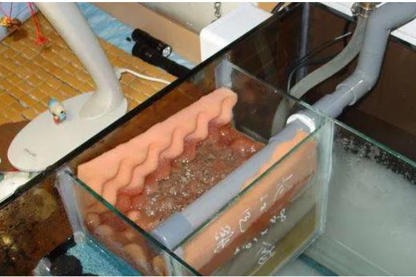 底滤鱼缸的进水口和出水口在哪里，一般位于鱼缸的两侧