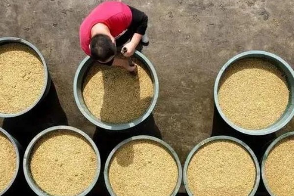 水稻的施肥时间，插秧半个月后追施分蘖肥