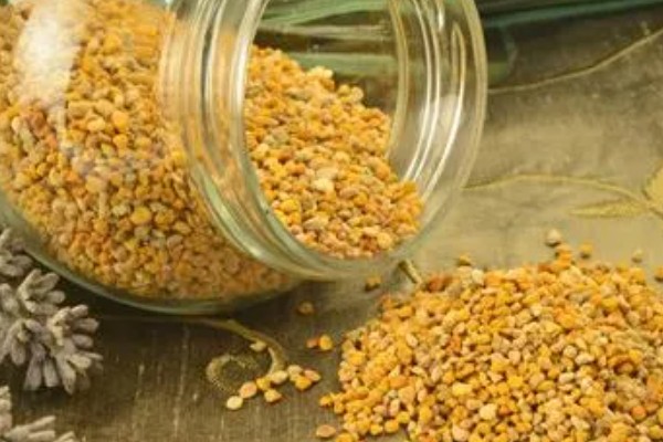 猕猴桃的人工授粉方法，在上午8-9点采集花粉