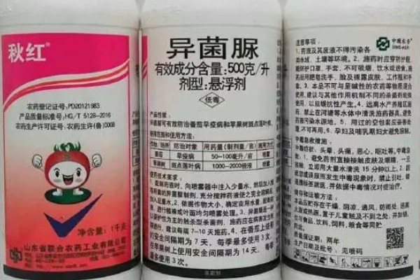 异菌脲杀菌剂治什么病，可防治葡萄灰霉病、苹果斑点落叶病等