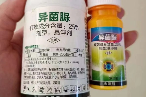 异菌脲杀菌剂治什么病，可防治葡萄灰霉病、苹果斑点落叶病等