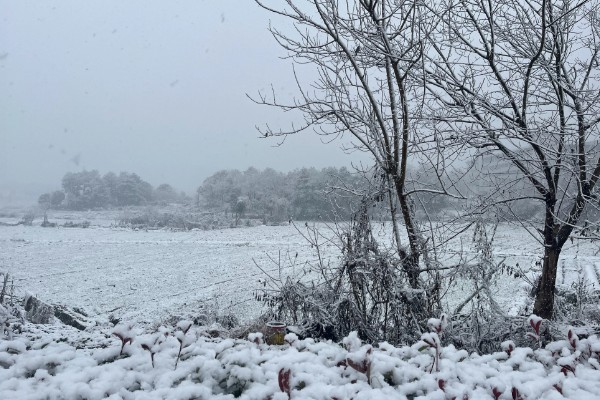 立冬有什么谚语，立冬不砍菜必定要受害