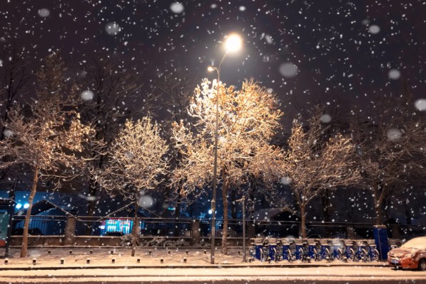 立冬有什么谚语，立冬不砍菜必定要受害