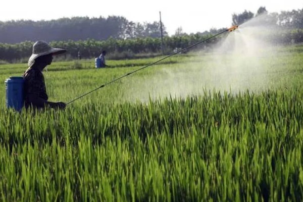 百菌清的使用方法，针对不同病害的防治方法不同